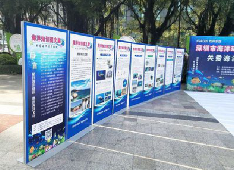 澄城KT板的种类和知识。